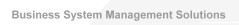 Business Systems Management